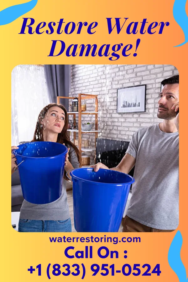 water restoration Ironclad Flood Cleanup Solutions La Carla