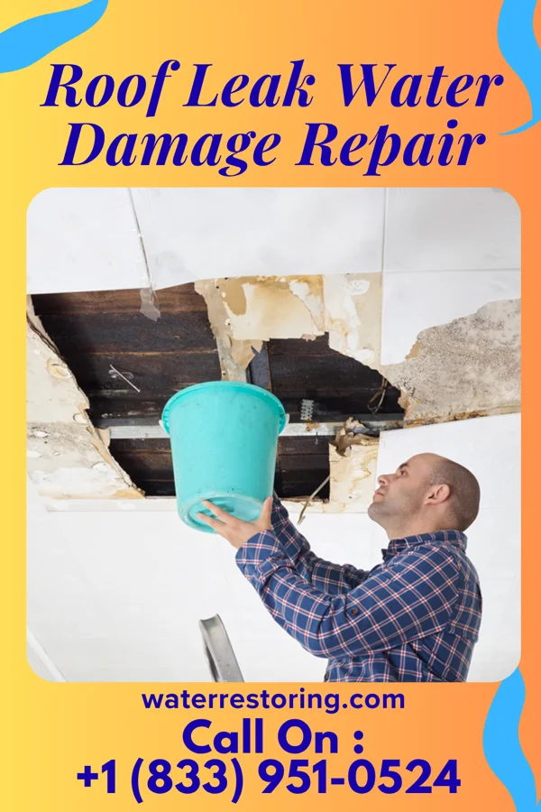 Roof Leak Water Damage Repair in La Carla, TX